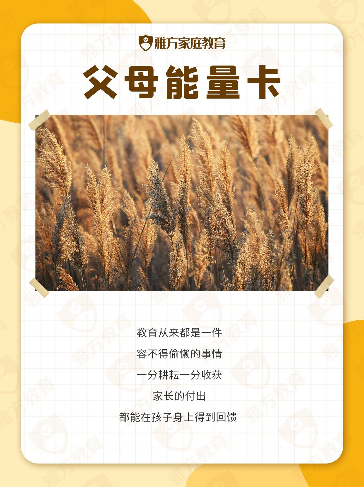 能量卡 28.jpg